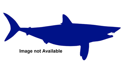 112-INCH MAKO SHARK