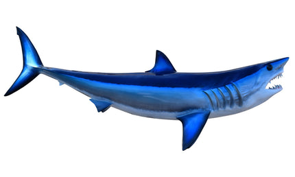 50-INCH MAKO SHARK