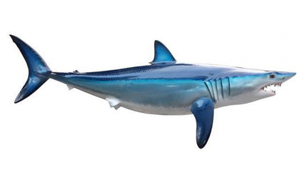 58-INCH MAKO SHARK