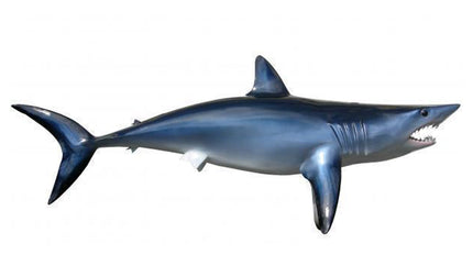 70-INCH MAKO SHARK