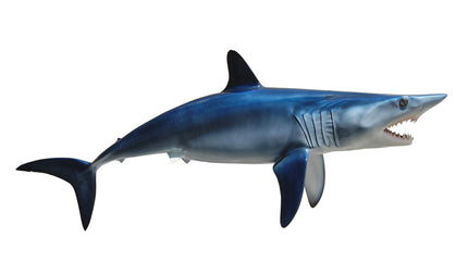 82-INCH MAKO SHARK