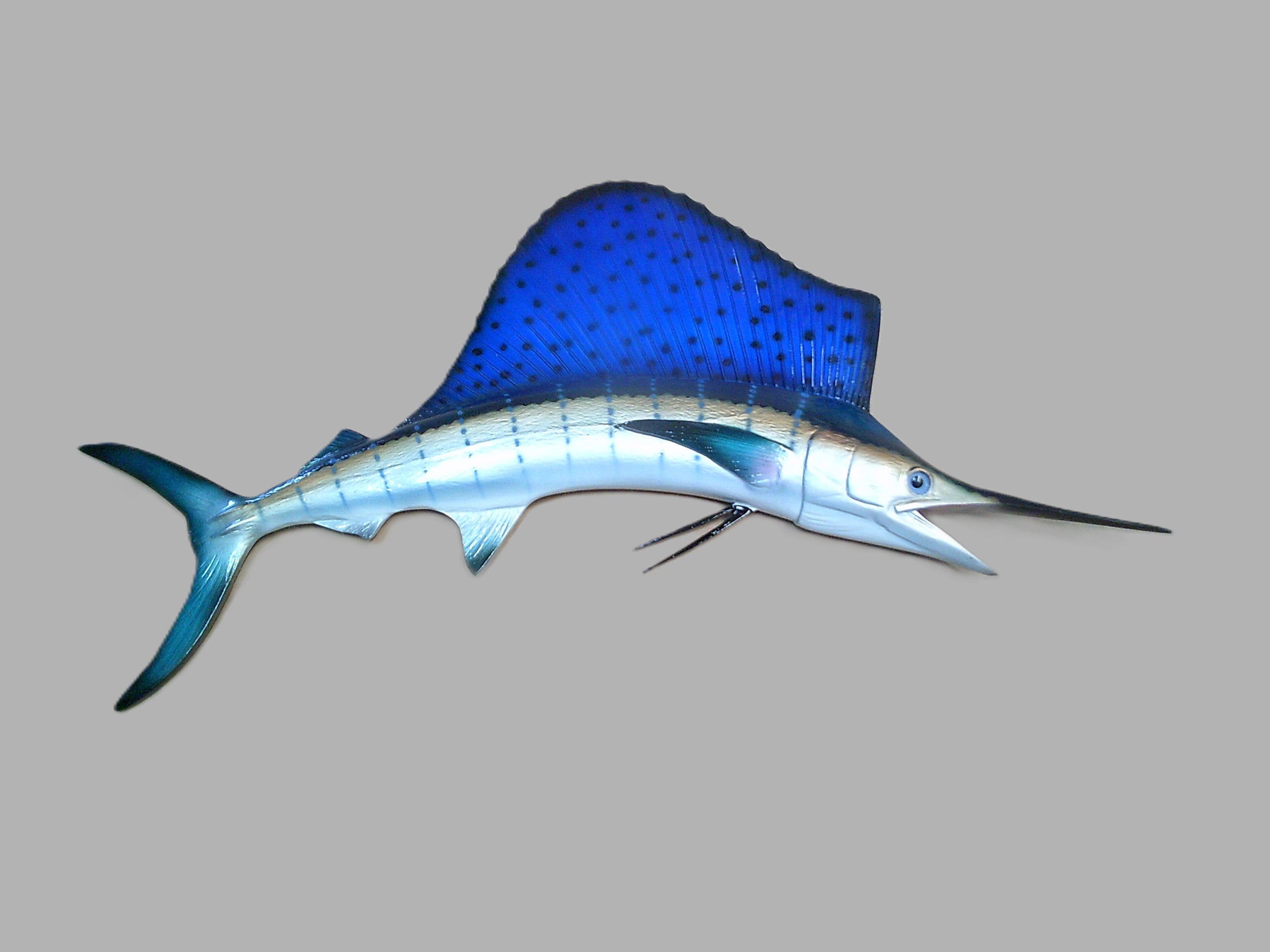 Sailfish Miniature Fish Mounts | King Sailfish Mounts Sailfish Miniature Fish Mounts | King Sailfish Mounts