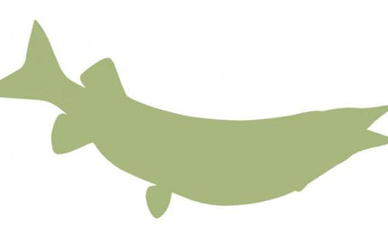 48-INCH MUSKIE BLANK, ECONOMICAL