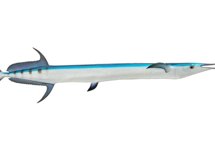 Collection image for: NEEDLEFISH