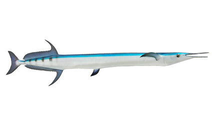 46-INCH NEEDLEFISH