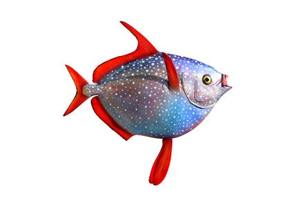 Collection image for: OPAH