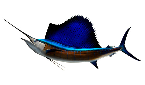 102-INCH PACIFIC SAILFISH