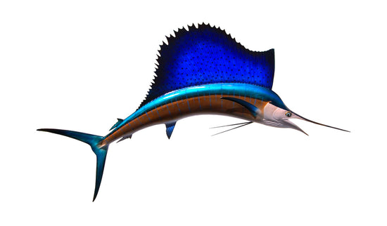 112-INCH PACIFIC SAILFISH