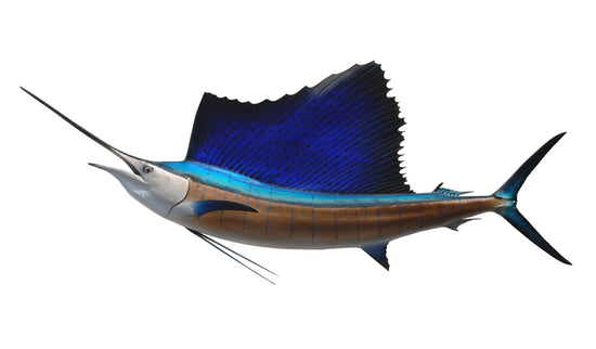 92-INCH PACIFIC SAILFISH