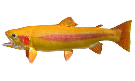 20-INCH PALOMINO TROUT