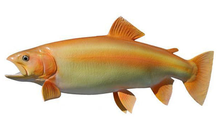 21-INCH PALOMINO TROUT