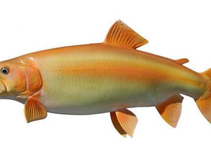 Collection image for: TROUT, PALOMINO