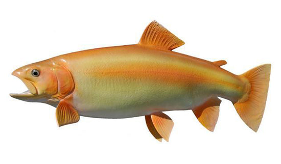 21-INCH PALOMINO TROUT