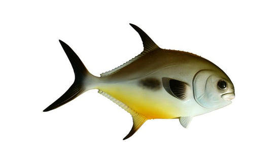 PERMIT, MINIATURE