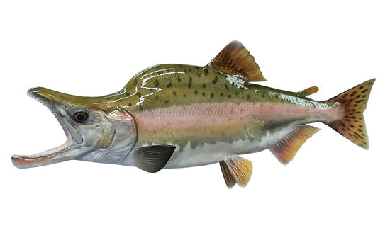 22-INCH PINK SALMON