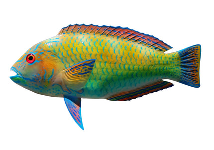 Collection image for: PUDDINGWIFE