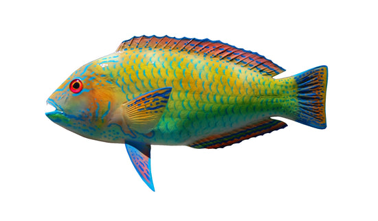 14-INCH PUDDINGWIFE (FEMALE)