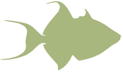 23-INCH QUEEN TRIGGERFISH BLANK, ECONOMICAL