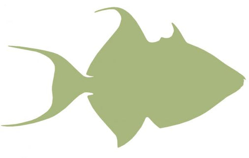 23-INCH QUEEN TRIGGERFISH BLANK, ECONOMICAL
