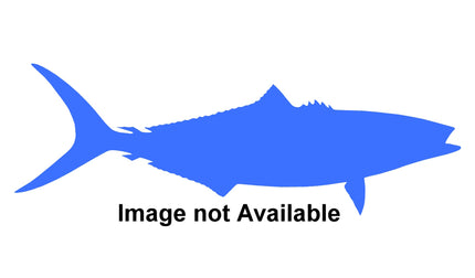 24-INCH RAINBOW RUNNER