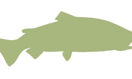 30-INCH RAINBOW TROUT BLANK, ECONOMICAL