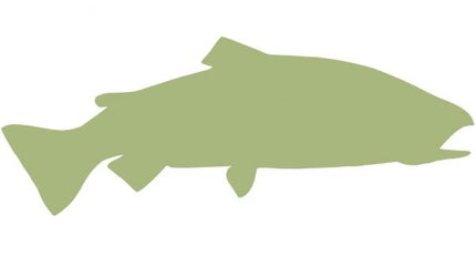 30-INCH RAINBOW TROUT BLANK, ECONOMICAL