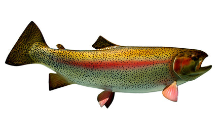 26-INCH RAINBOW TROUT (R)