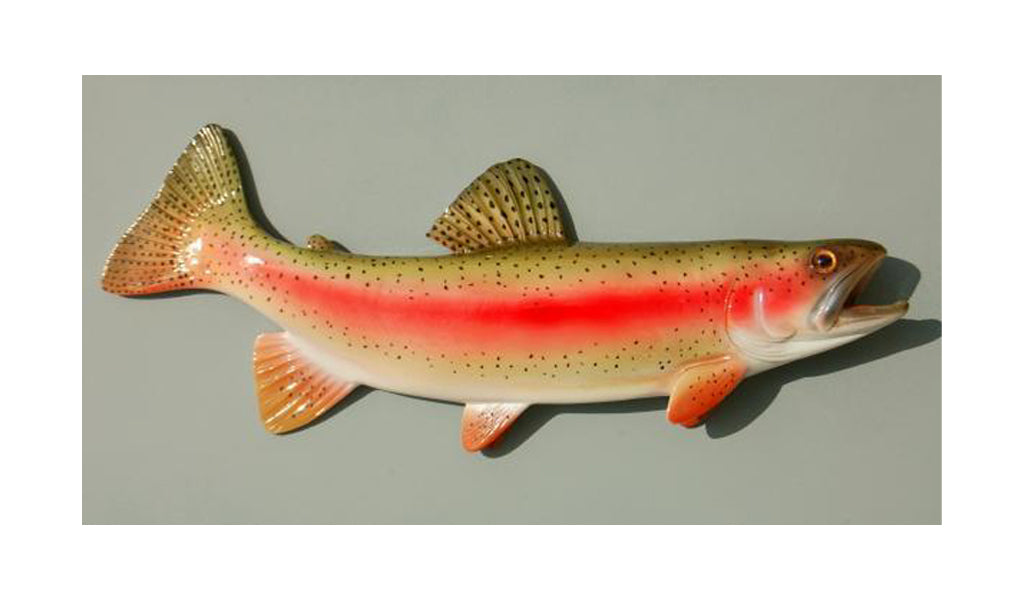 【税込?送料無料】 RainbowTroutMiniatureFishMount アクセサリー