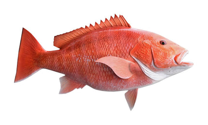 38-INCH RED SNAPPER