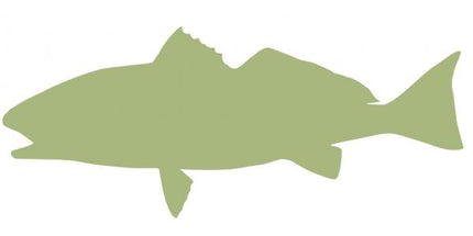 29-INCH REDFISH BLANK, ECONOMICAL