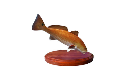 19-INCH REDFISH TROPHY