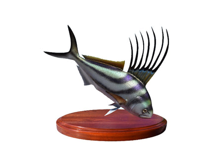 Collection image for: ROOSTERFISH TROPHIES