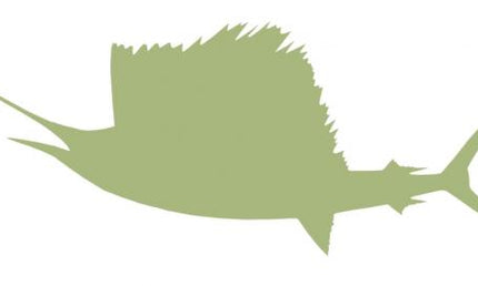 54-INCH SAILFISH BLANK, ECONOMICAL