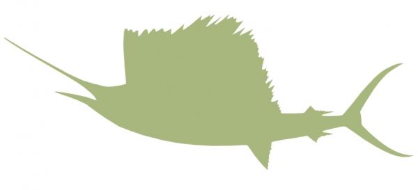 54-INCH SAILFISH BLANK, ECONOMICAL