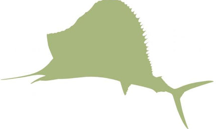 77-INCH SAILFISH BLANK, ECONOMICAL