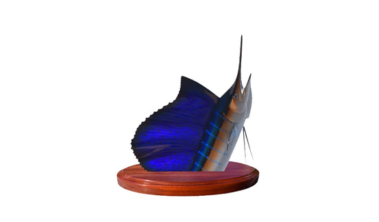 16-INCH SAILFISH TROPHY