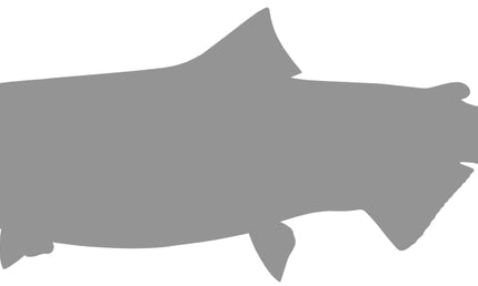 35-INCH KING SALMON BLANK, STANDARD