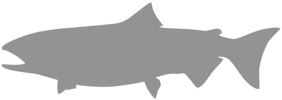 35-INCH KING SALMON BLANK, STANDARD