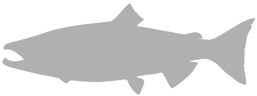 41-INCH KING SALMON BLANK, STANDARD
