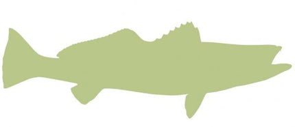 28-INCH SEATROUT BLANK, ECONOMICAL