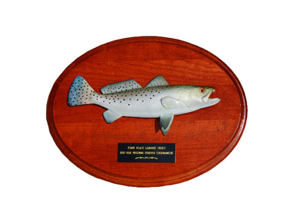 Collection image for: SEATROUT TROPHIES