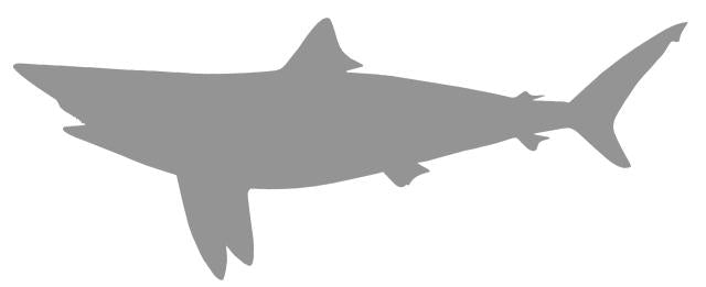 30-INCH BLACKTIP SHARK BLANK, STANDARD