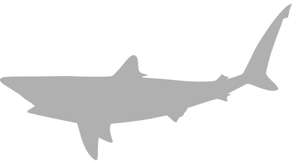 41-INCH BLACKTIP SHARK BLANK, STANDARD