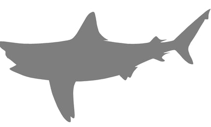 74-INCH BULL SHARK BLANK, STANDARD