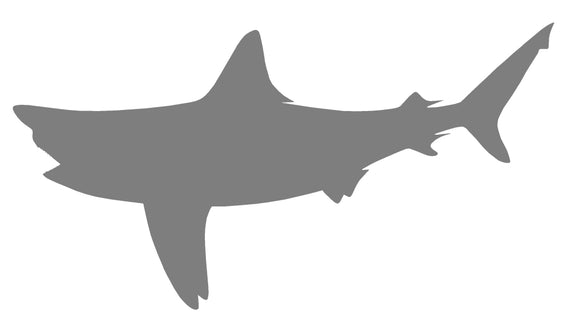 74-INCH BULL SHARK BLANK, STANDARD