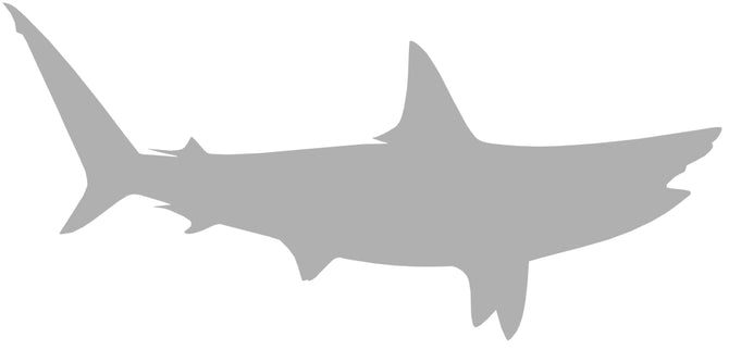 70-INCH HAMMERHEAD SHARK BLANK, STANDARD