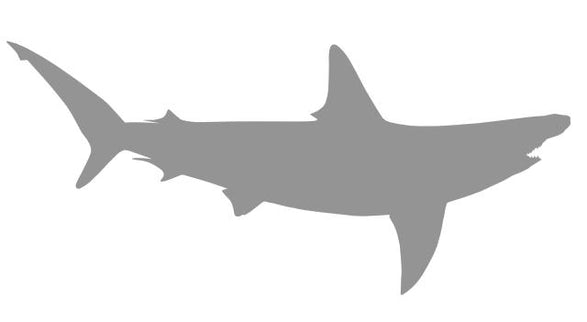 82-INCH HAMMERHEAD SHARK BLANK, STANDARD