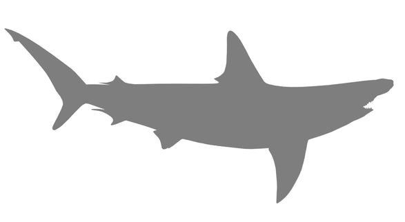 90-INCH HAMMERHEAD SHARK BLANK, STANDARD
