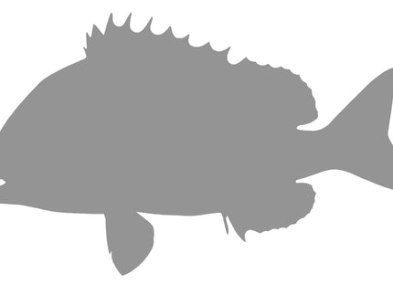 Collection image for: SHEEPSHEAD BLANKS