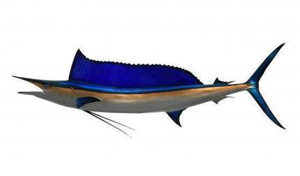 73-INCH SHORTBILL SPEARFISH
